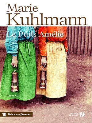 cover image of Le puits Amélie